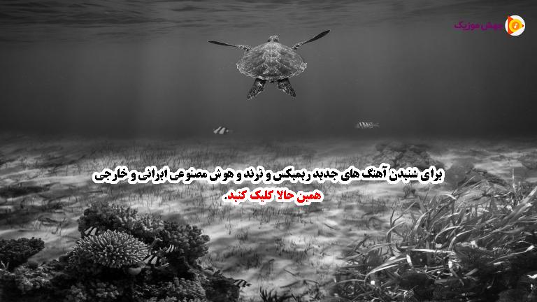 دانلود آهنگ دلتنگ این دلم توی هوای تو امشب پروانه میشم از سعید کریمی